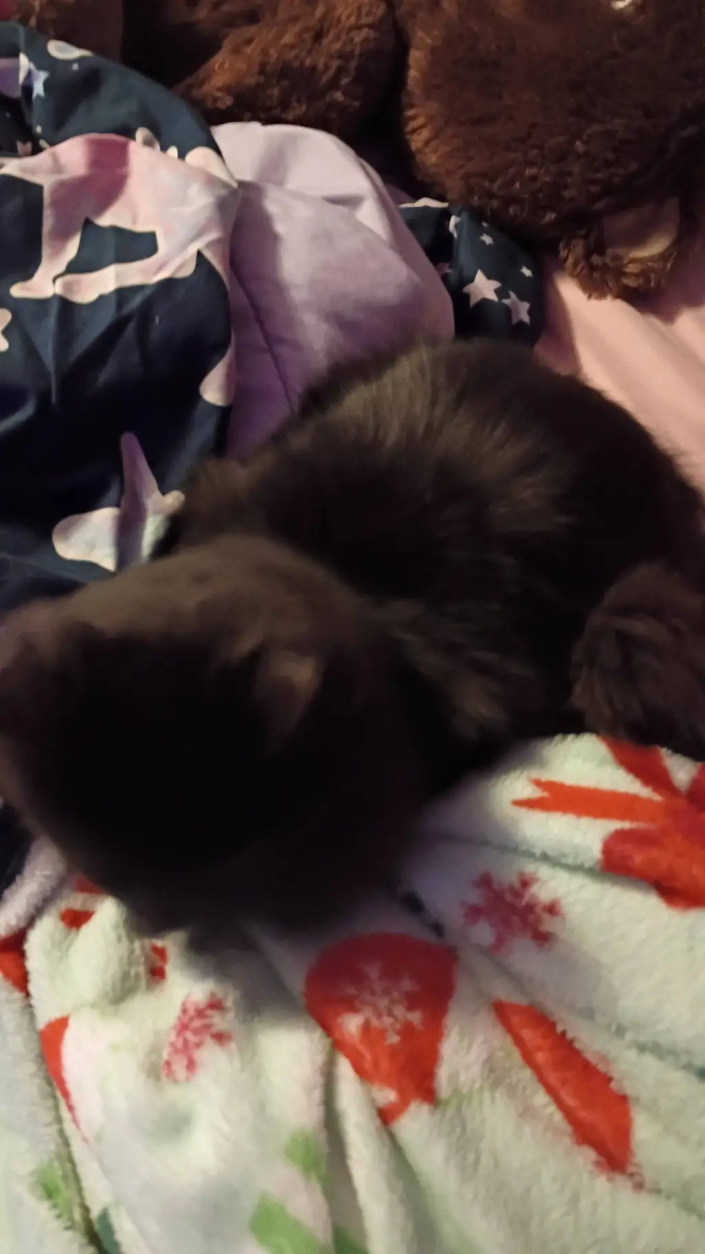 ai character: ten commandments  background