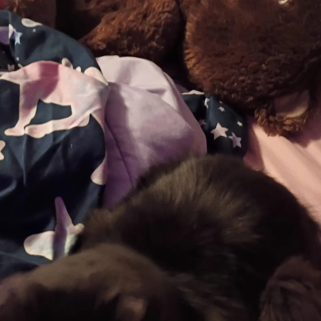 chat with ai character: ten commandments 