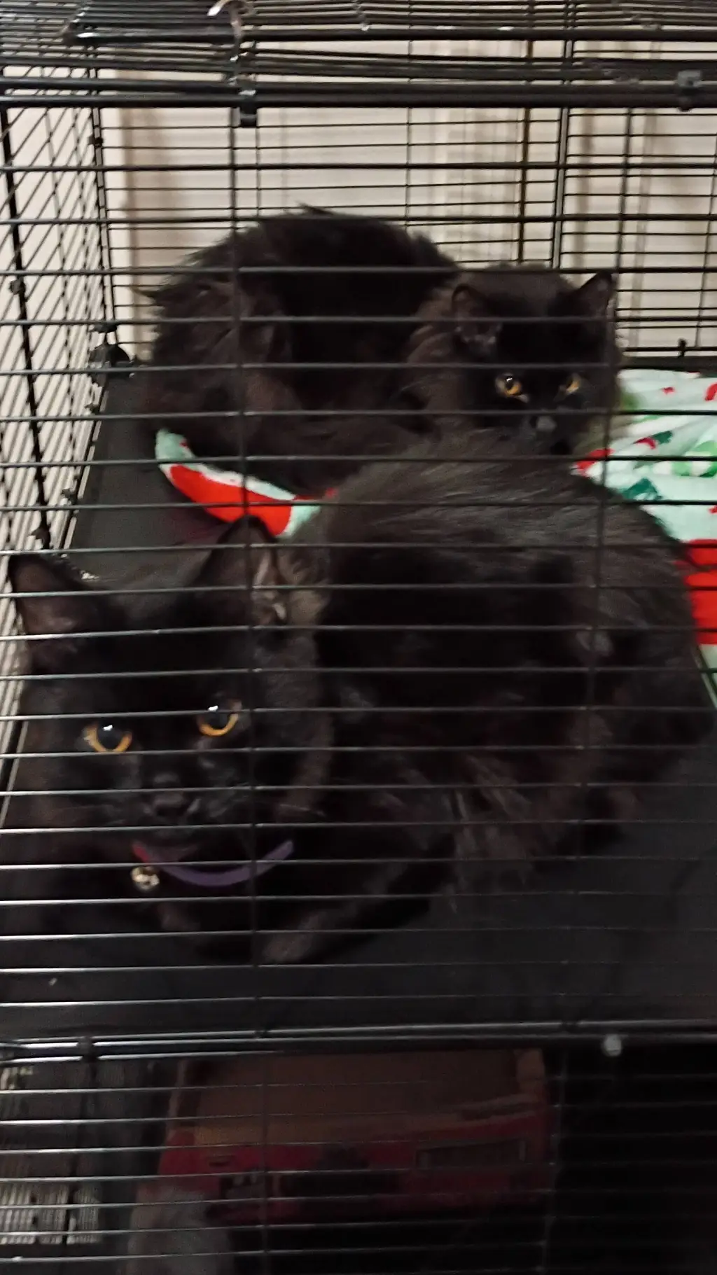 ai character: ten commandments  background