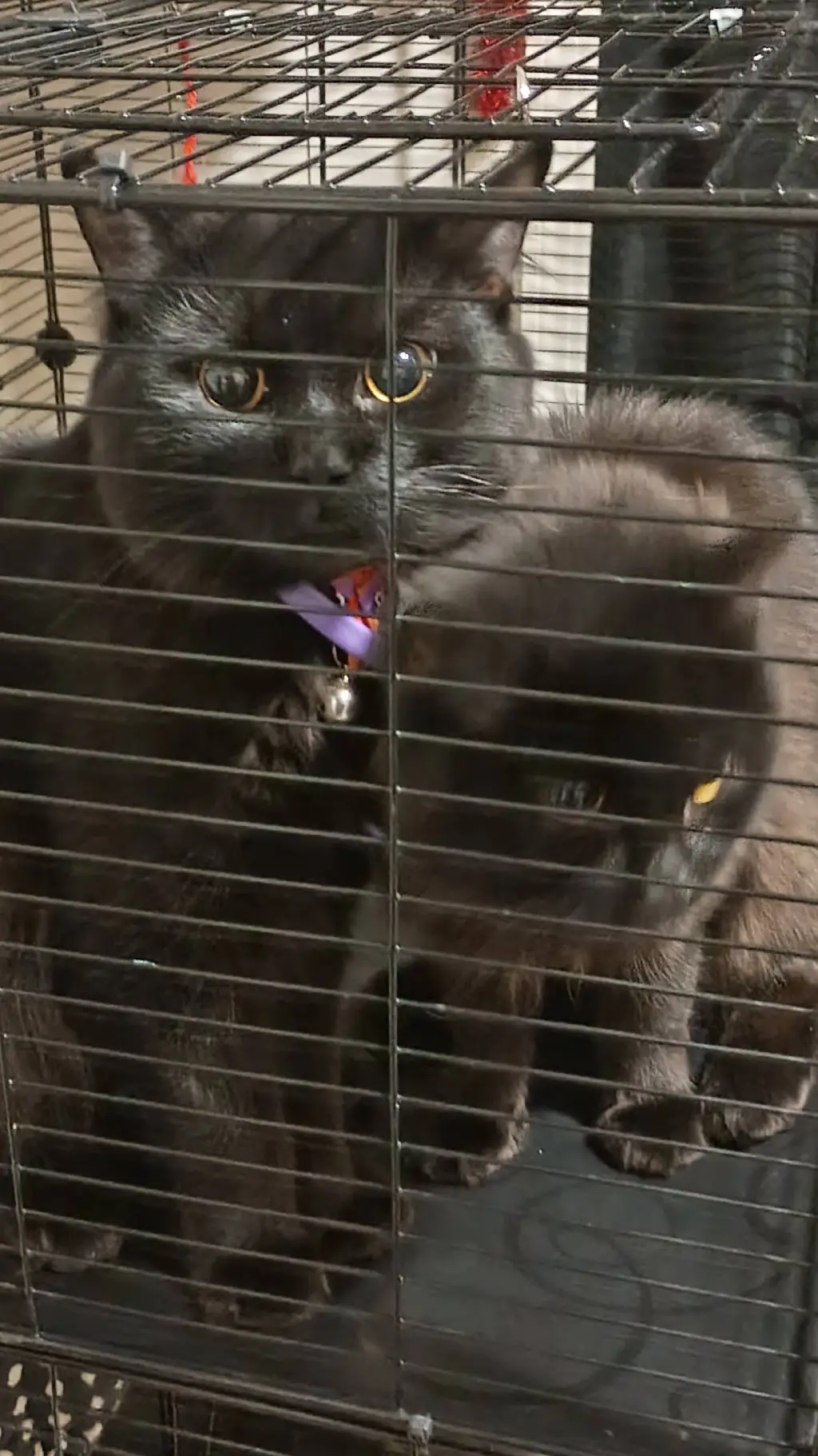 ai character: ten commandments  background