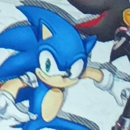 chat with ai character: sonic crew
