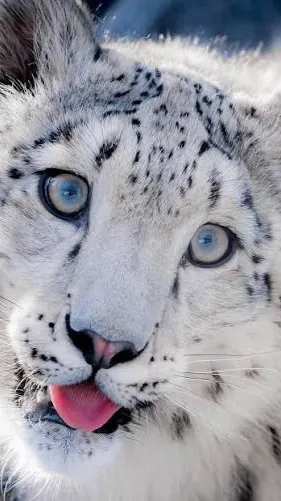 ai character: Alastorxlucifer  background