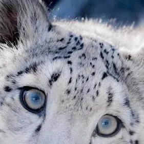 chat with ai character: Alastorxlucifer 