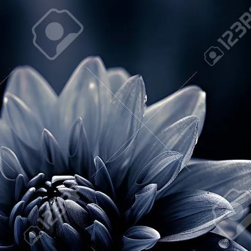 chat with ai character: =•× Tyésh ×•=