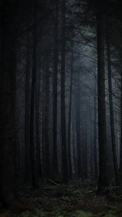 Talkie AI - Chat with creepypasta woods