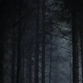 chat with ai character: creepypasta woods