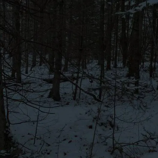 chat with ai character: snowing woods