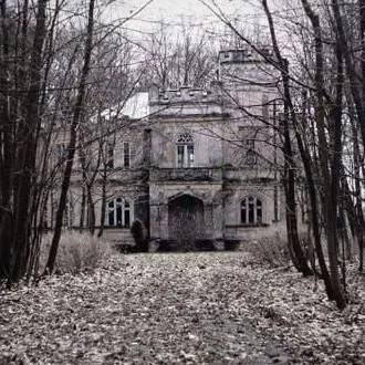 chat with ai character: slenderman mansion