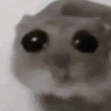 chat with ai character: robux