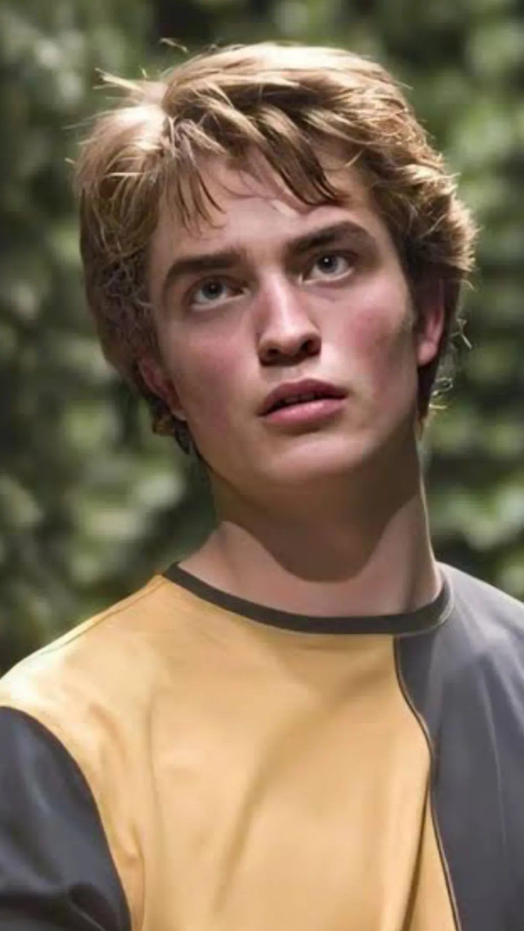ai character: Cedric diggory background