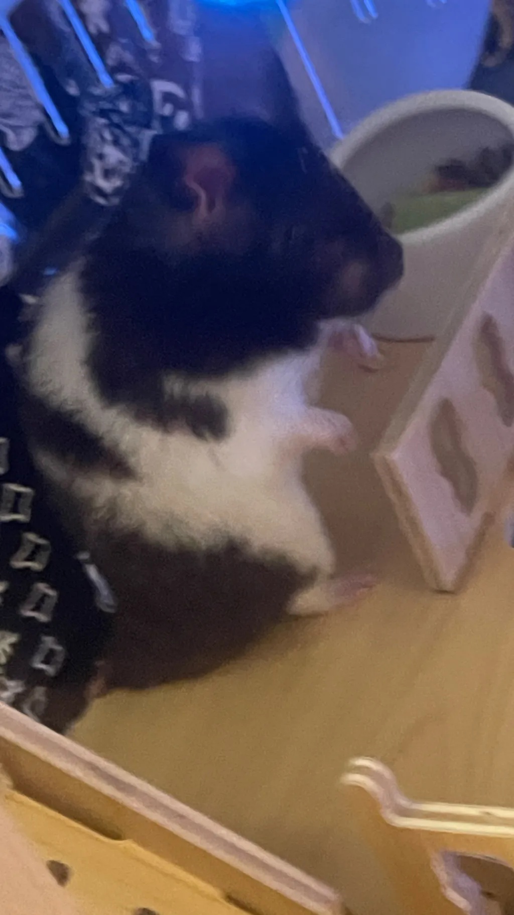 ai character: Hammy background