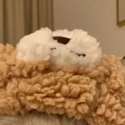 chat with ai character: Moon and snowy