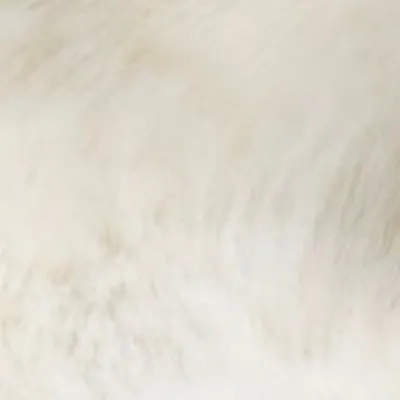 chat with ai character: Living fluff!