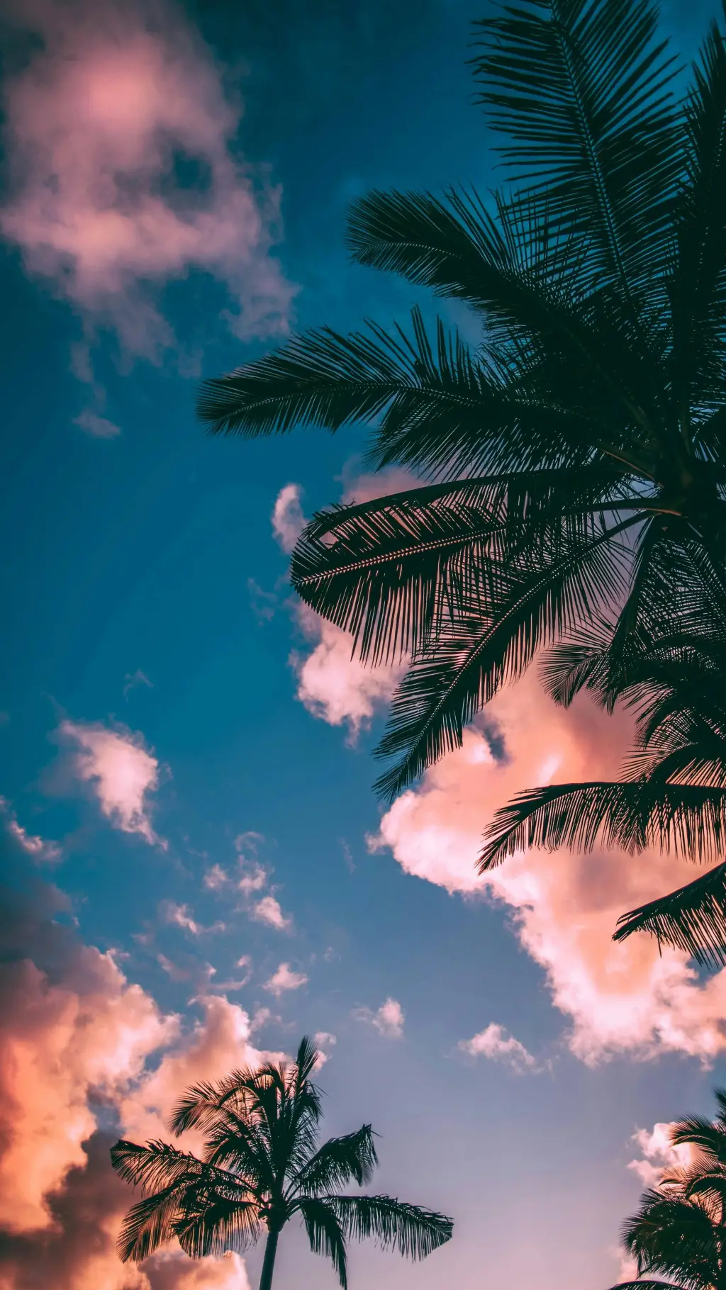 ai character: jsp background