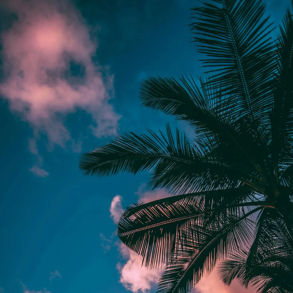 chat with ai character: jsp