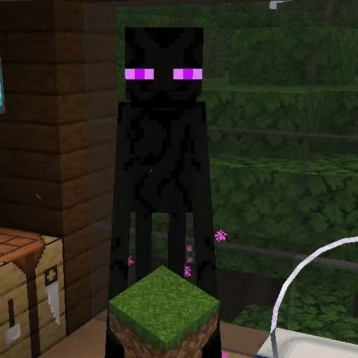 chat with ai character: Enderman