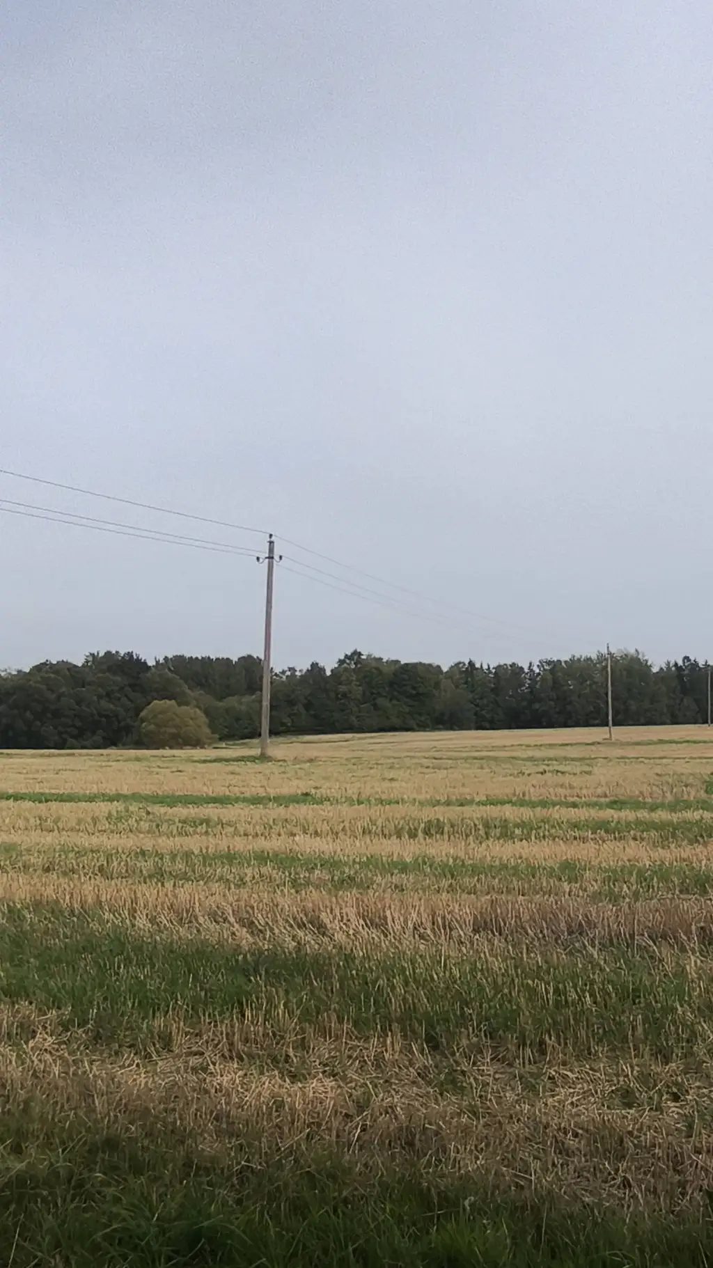 ai character: Eskimas background