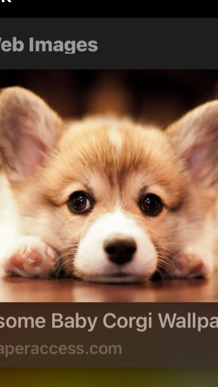ai character: baby corgi background