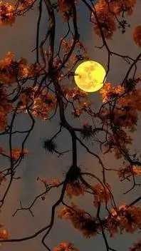 ai character: AIZAWA CAMPING  background