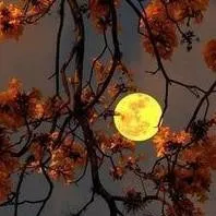 chat with ai character: AIZAWA CAMPING 