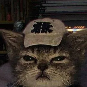 chat with ai character: Mha x Y/N