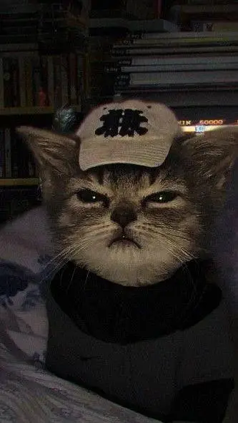 ai character: Aizawa background