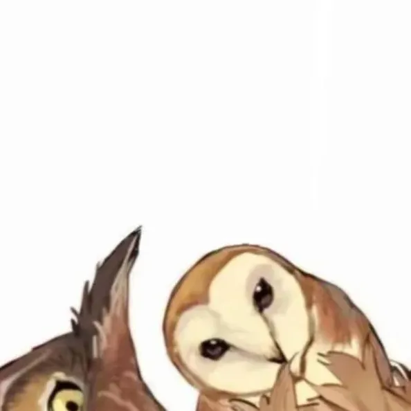 chat with ai character: Hawks★