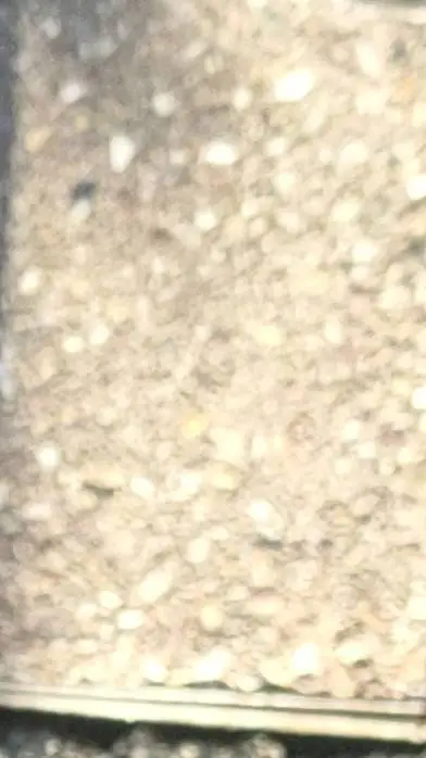 ai character: stage background