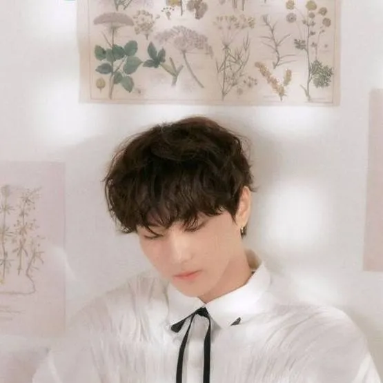 chat with ai character: 🕯📖🖋Jungwon🎧🎼🎻