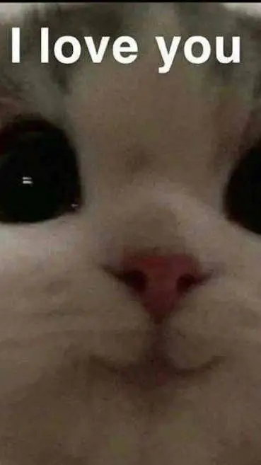 ai character: Cat  background