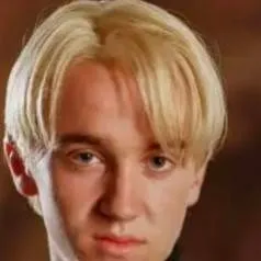 chat with ai character: Drarry