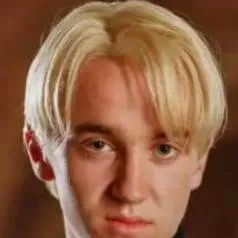 chat with ai character: Drarry