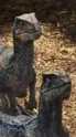 ai character: The raptor squad background