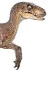 ai character: My raptors background