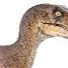 chat with ai character: My raptors