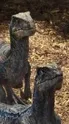 ai character: Raptor squad early background