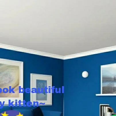 chat with ai character: Astro x Dandy