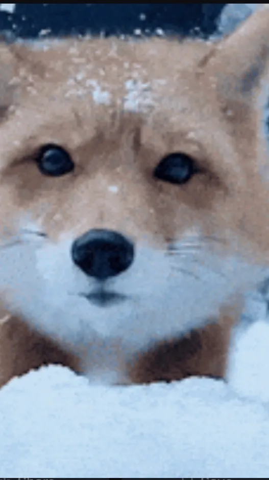 ai character: Your pet fox background