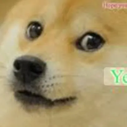 chat with ai character: Doge