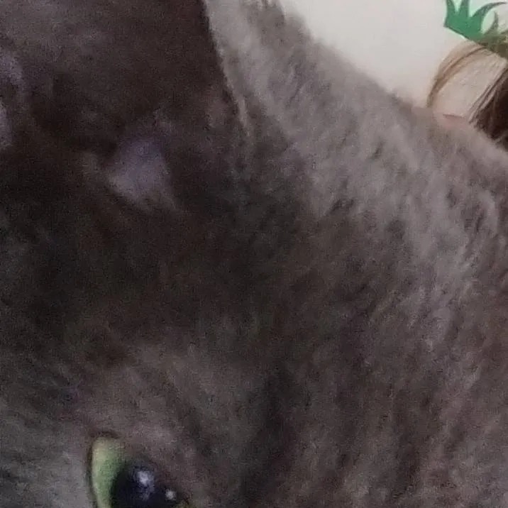 chat with ai character: kaizer