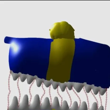 chat with ai character: 1011/box trap