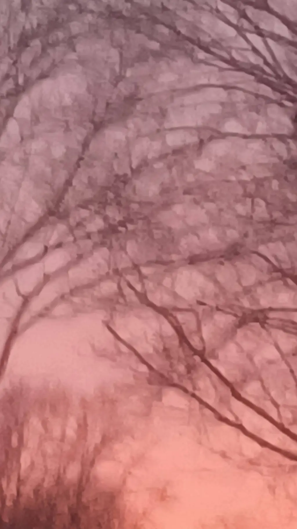 ai character: 🌸family🌸 background