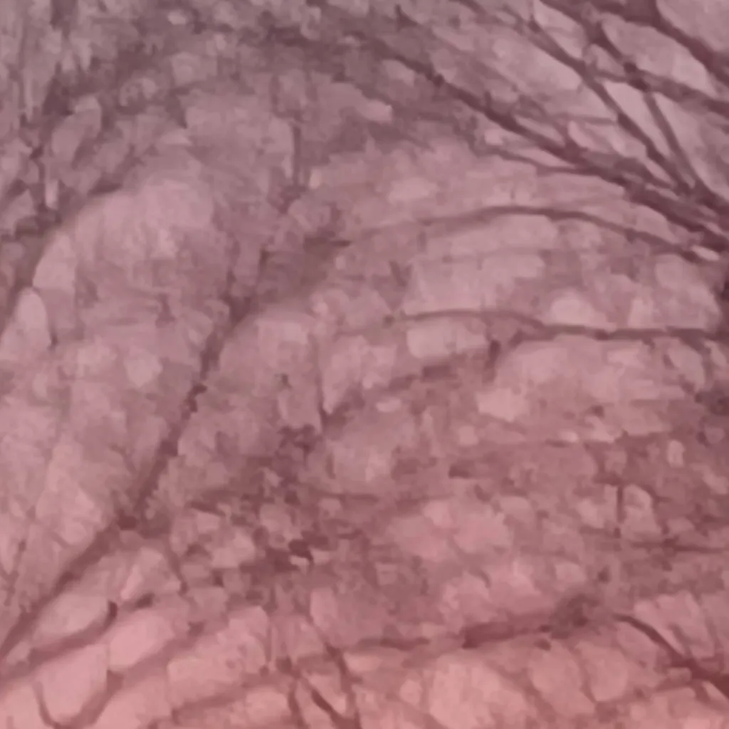 chat with ai character: 🌸family🌸