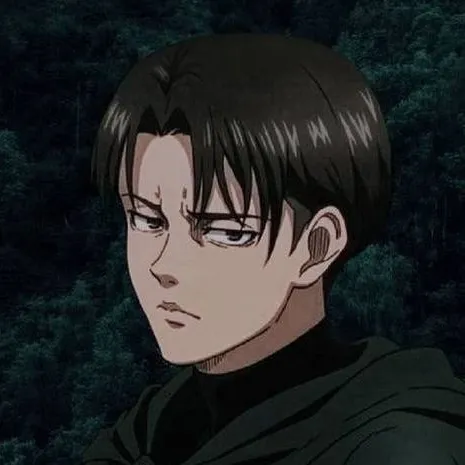 chat with ai character: Levi's suggestions