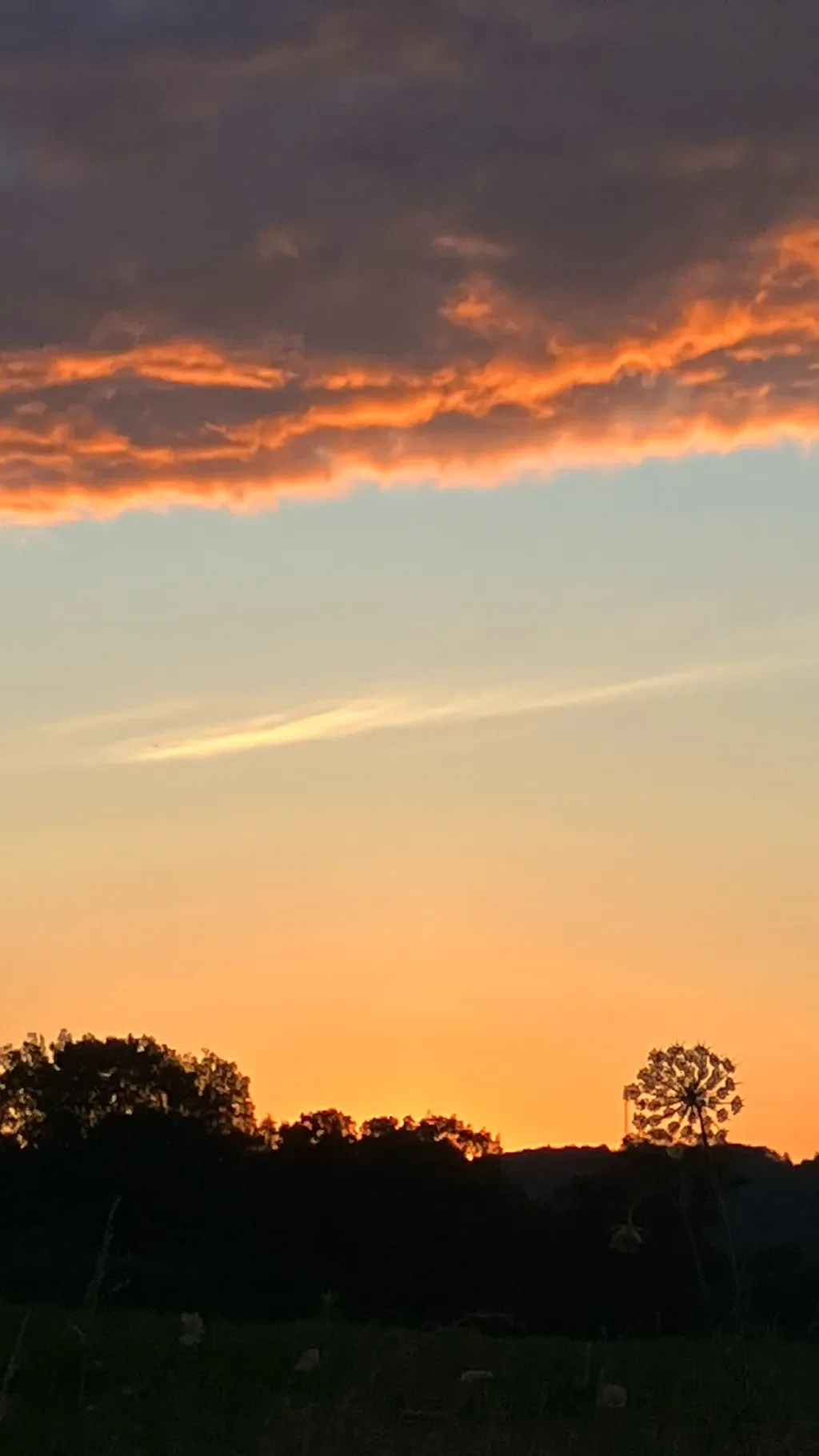 ai character: Dom*YUNGBLUD* background