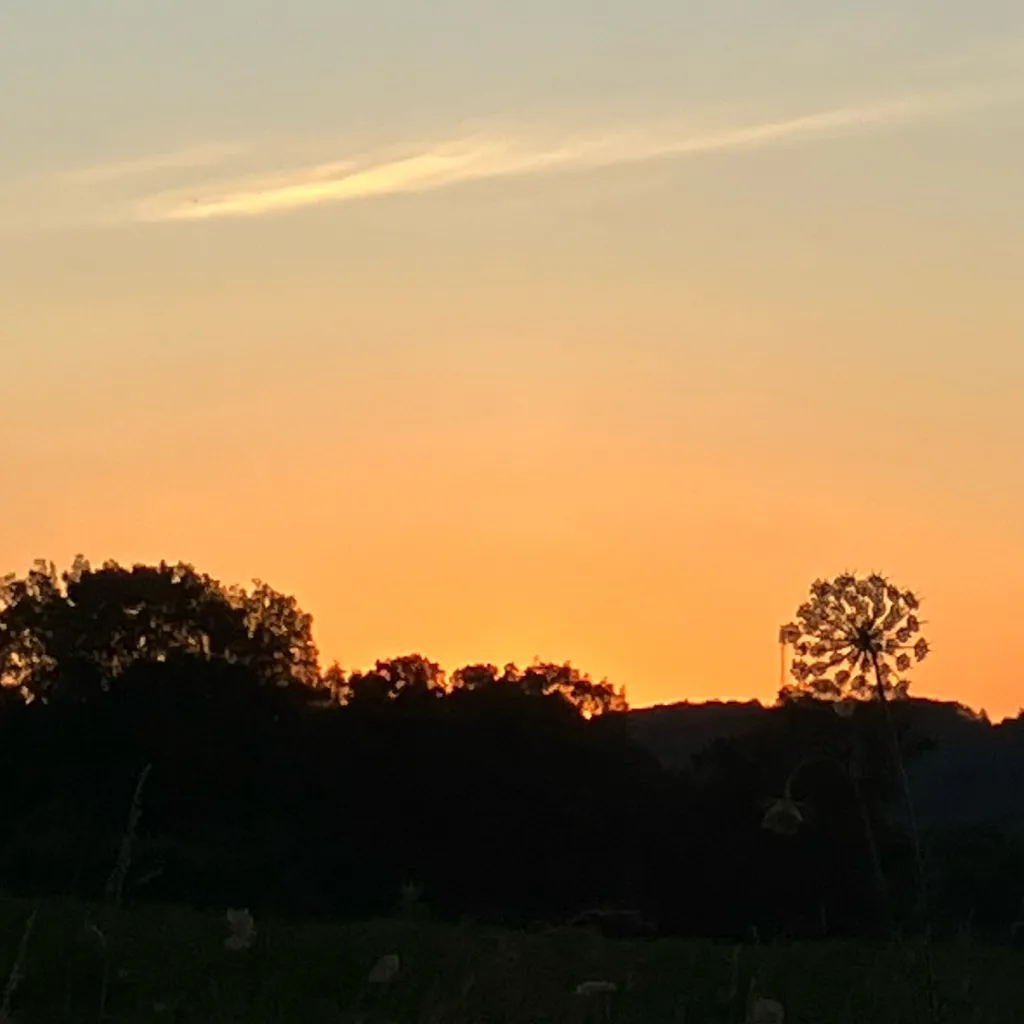 chat with ai character: Zombies 4