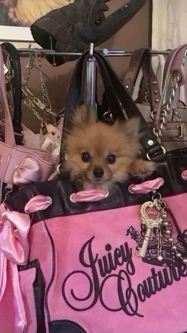 Talkie AI - Chat with 2000s new school