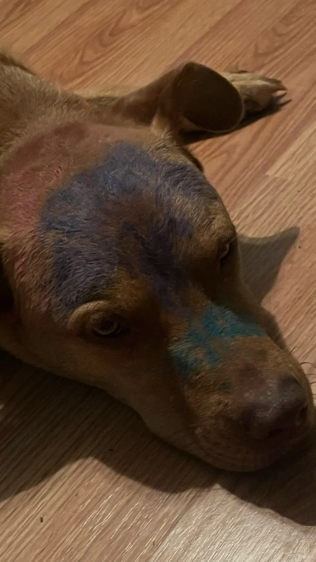 ai character: Kelley background