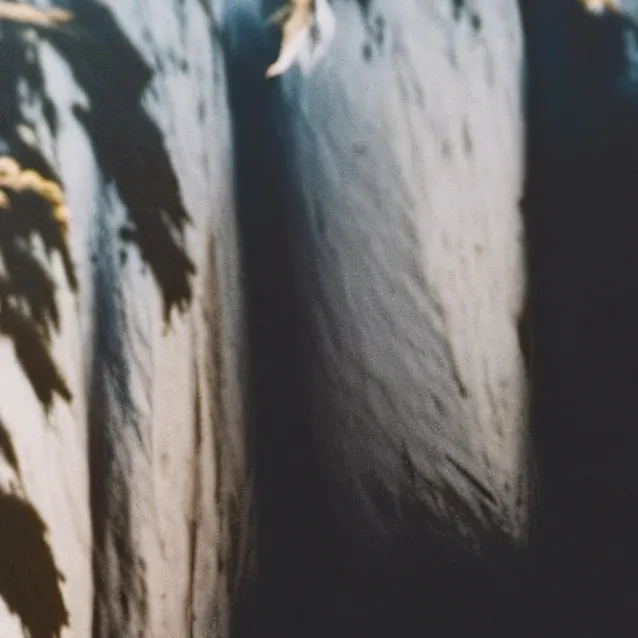 chat with ai character: OBXXX😍🏐🍉