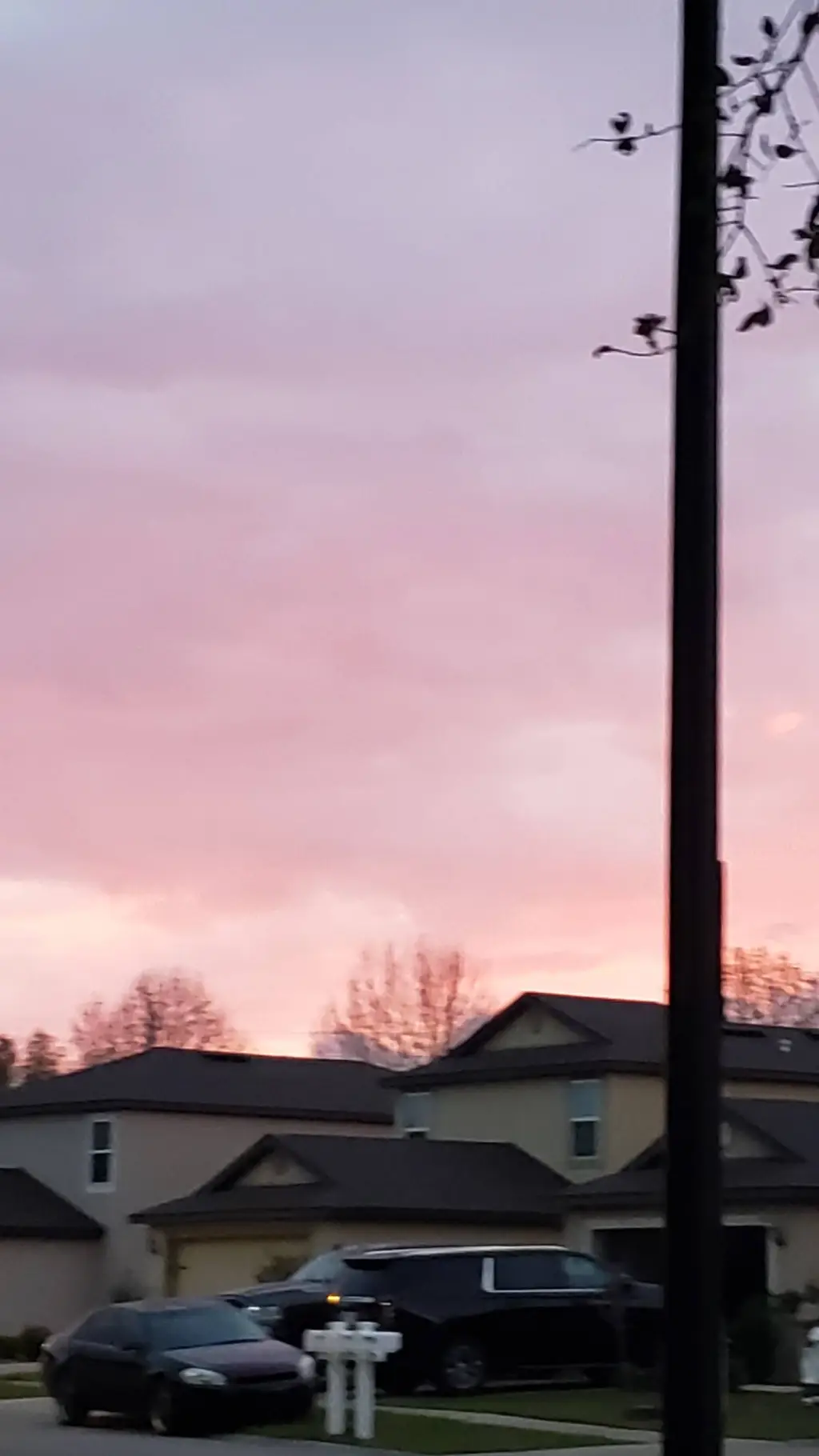 ai character: OBXXX background